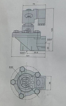 MCF-Z-20.png